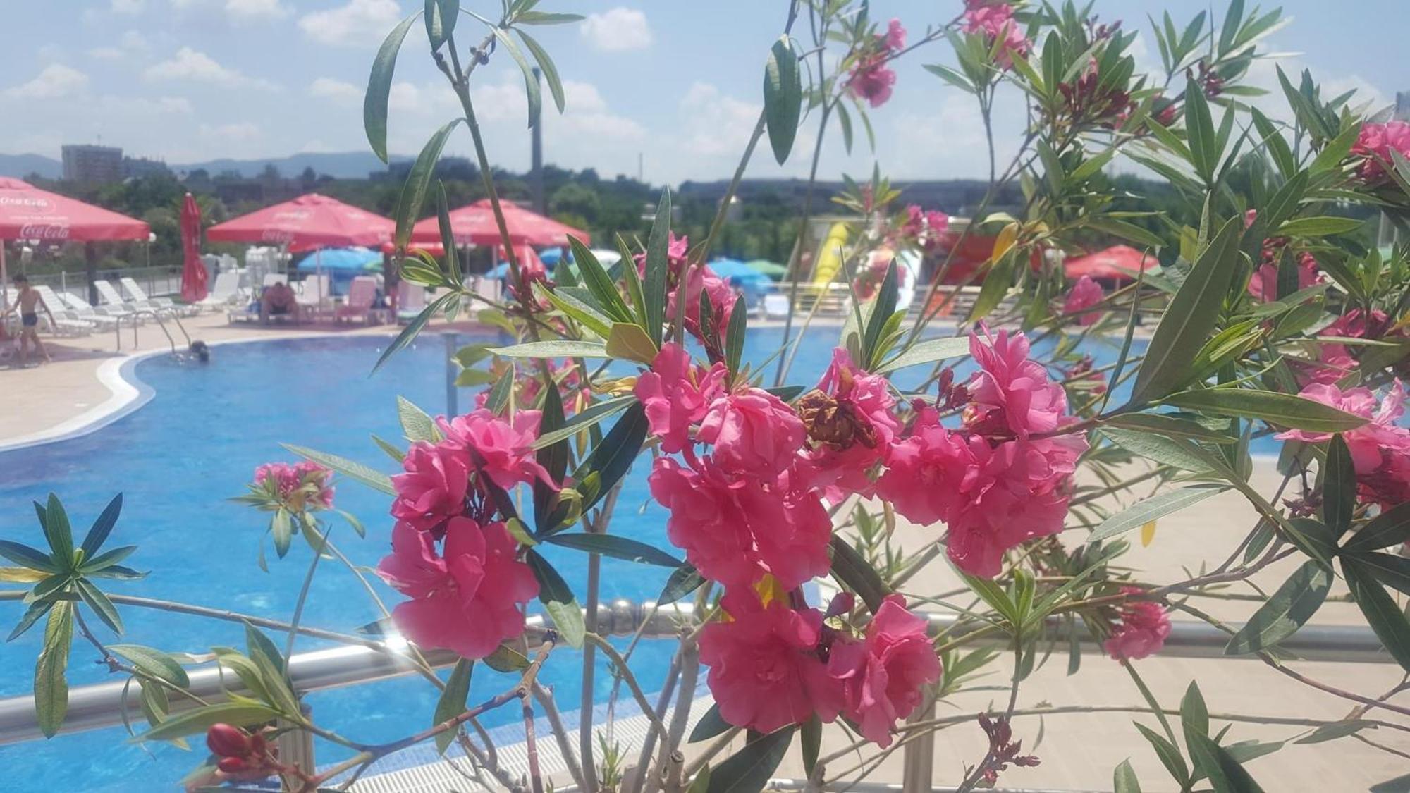 Hotel Aqua Kŭrdzhali Buitenkant foto